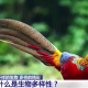 什么是生物多样性保护（保护生物的多样性有什么意义）