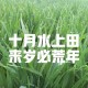 农谚：“十月水上田，来岁必荒年”，下雨不好吗？看谚语怎么预兆