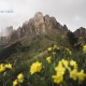 陆游临安春雨初霁赏析（陆游诗临安春雨初霁解释）