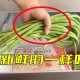 保存豆角的好方法（保存豆角要怎么样保存更新鲜）