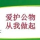 学校爱护公物倡议书（小学爱护公物标语）