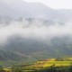 描写雨后山村的诗句（雨后的山村怎么形容）