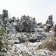 什么时候下的雪叫瑞雪兆丰年