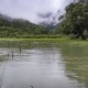 初中满分作文《雨中》雨中漫步，欢乐长驻