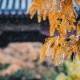 写雨的古诗大全