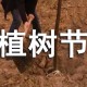 关于植树节的宣传标语