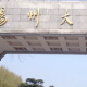 杨州大学什么专业较好