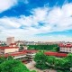 上海财经大学有什么专业