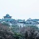 为什么报考武汉大学