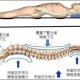 玩转三条生理曲线 帮助孩子度过高考备战低潮