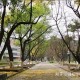 江什么大学