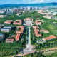 云南大学如何