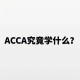 什么专业学acca