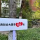 北大医学部是什么