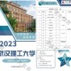 武汉有什么大学211