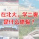 北大国际生学什么