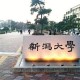 新潟大学怎么样