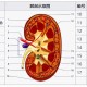 tu医学是什么单位