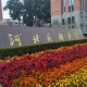 河北都有什么医药大学