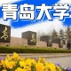 青岛大学什么水平