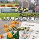 590能上杭州什么大学