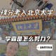 北大都学什么