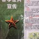 大学生征兵要什么