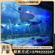 什么是水族专业