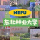 和兴路都有什么大学