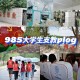 985高校村官怎么样