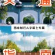 怎么查西南交大新生