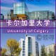 卡尔加里都有哪些大学