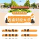 怎么报名西南财经大学