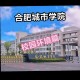 安徽城市建设学院在哪里