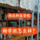 湖北科技学院都有什么补助