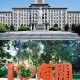 南开大学哪里