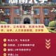 湖南大学可以学什么