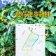 复旦大学哪里可以跑步