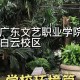 最好的文艺学校是什么