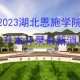 恩施都有哪些学院