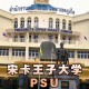 宋卡王子大学在哪里