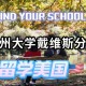 戴维斯大学在哪里