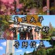 复旦大学都能学什么