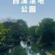 青岛大学湿地在哪里