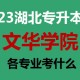 湖北455分能考什么大学