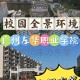 东华有哪些学院