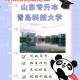 青岛科技大学怎么报名