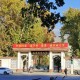 山东林业大学在哪里