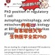 phd全奖多少钱