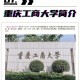 重庆大学工学怎么样